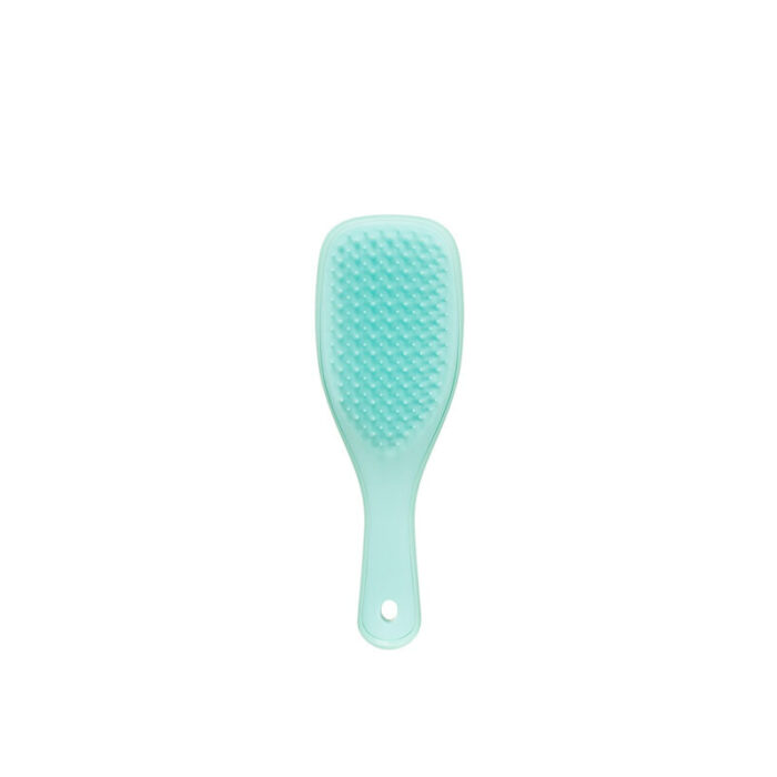 tangle teezer wet detangler mini sea green