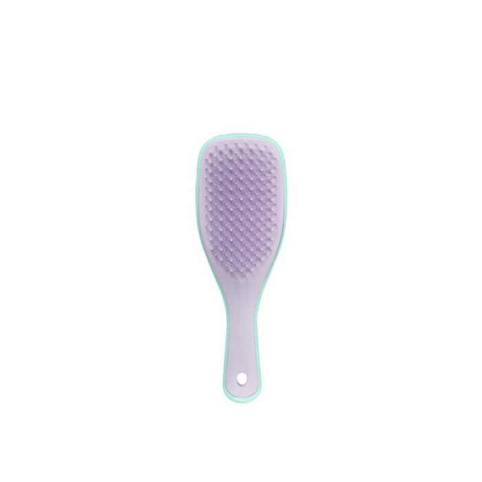 tangle teezer wet detangler mini wisteria leaf